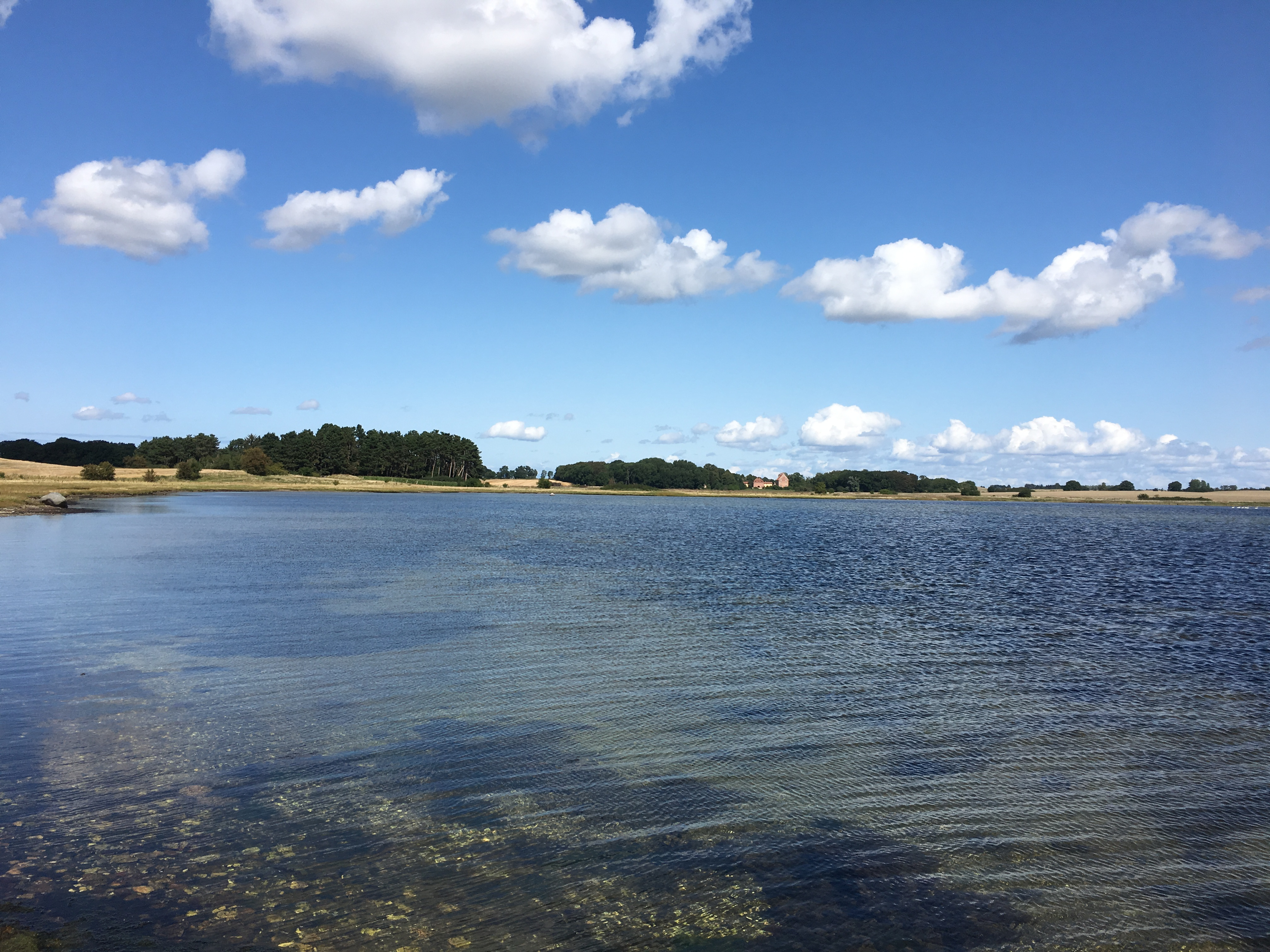 Kandidat kommunevalg 2025 Frederikssund Kommune