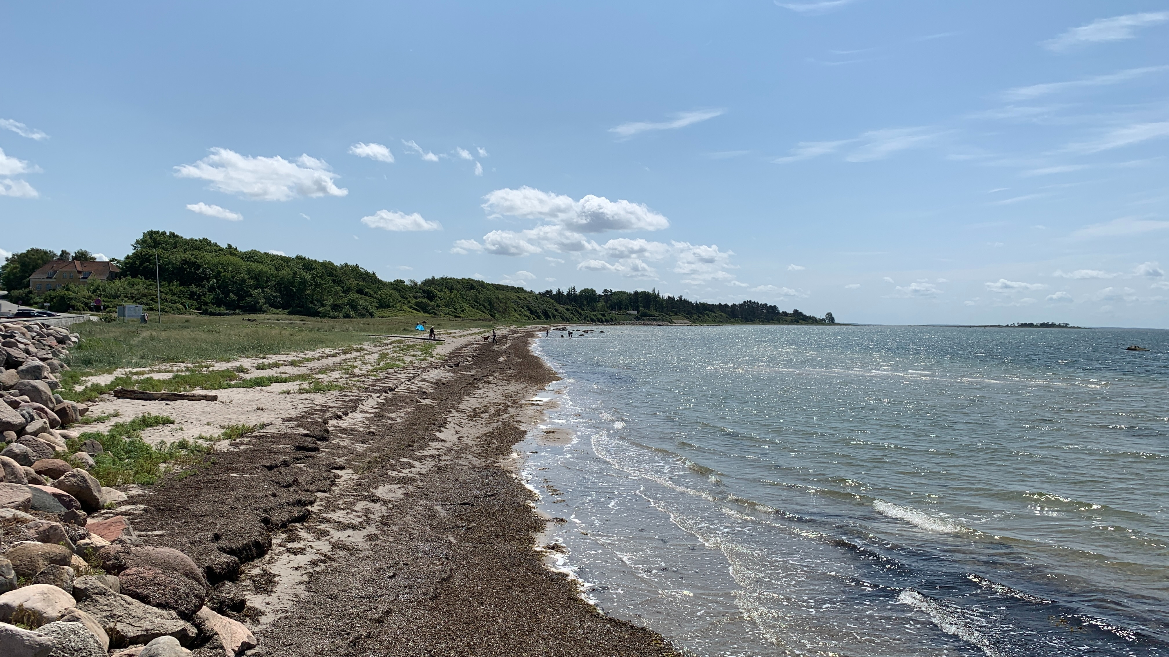 Her kan blive en skøn og attraktiv strandpark