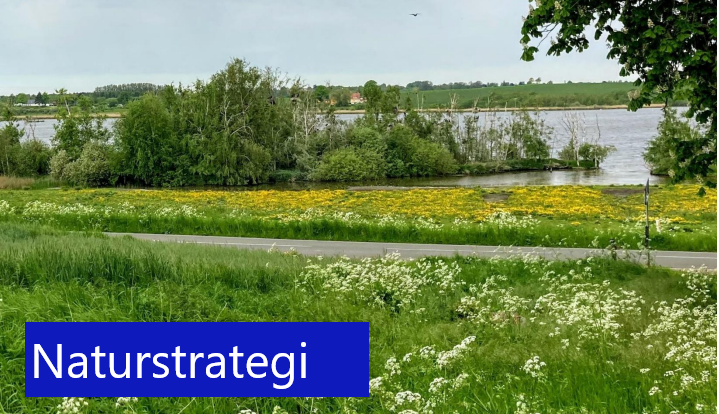 Naturstrategi Frederikssund Kommune