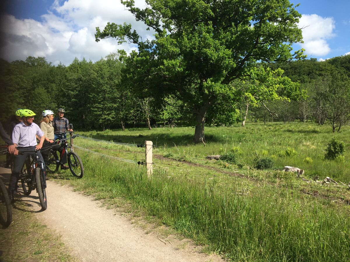 Trafiksikkerhed kandidat kommunalvalg 2025 Frederikssund kommune