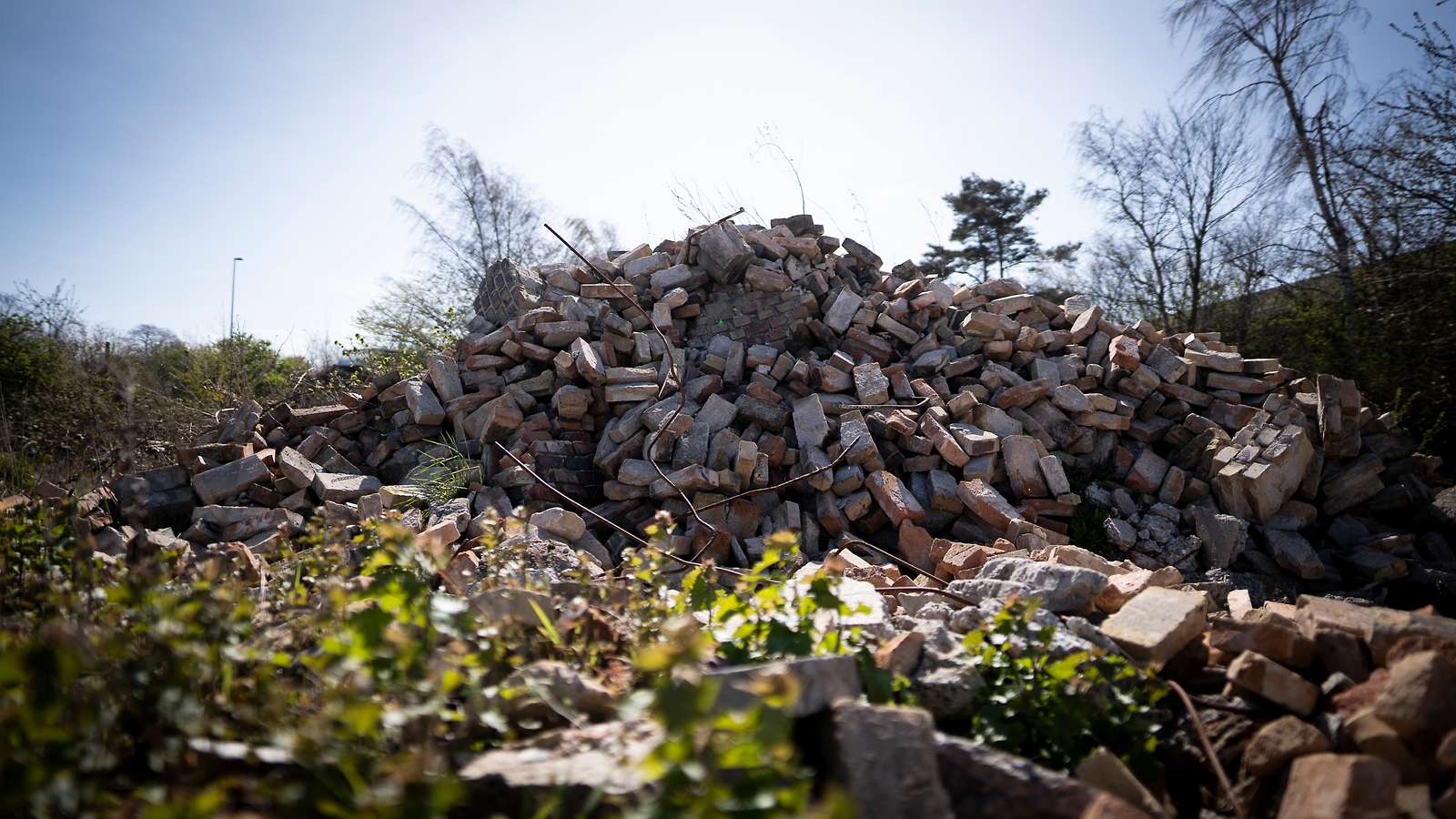 Vi kan ikke leve med de lange sagsbehandlingstider